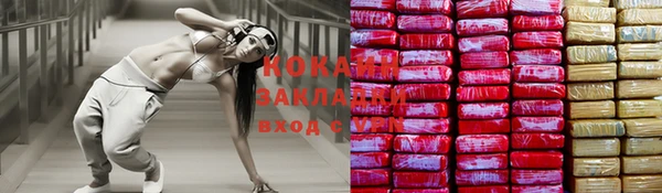 шишки Бронницы